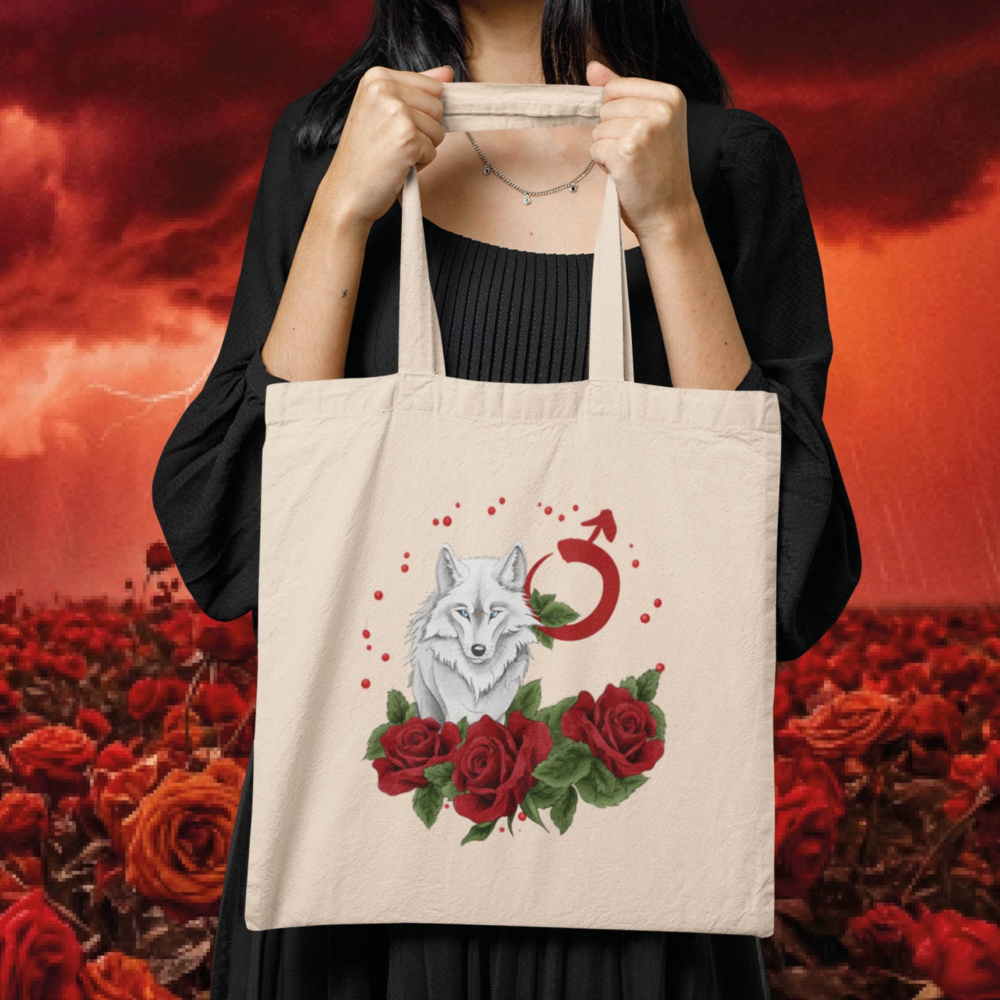 Signatur MARS – Tragetasche